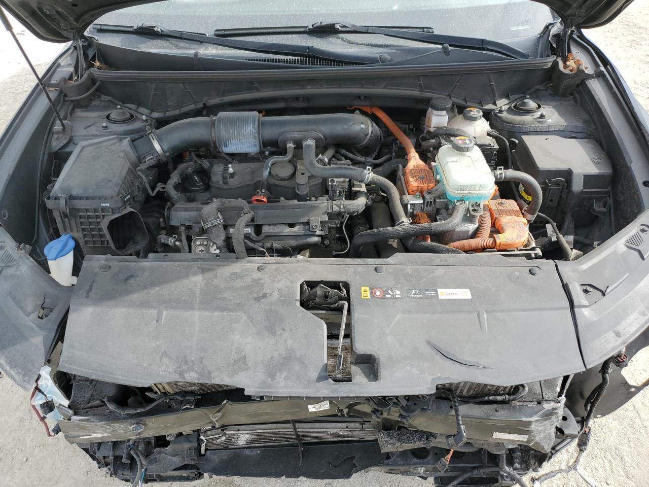 2022 Hyundai Tucson Blue VIN: KM8JBCA19NU020735 Lot: 63148455