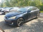2006 LEXUS IS 250   for sale at Copart ON - COOKSTOWN