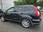2007 HONDA CR-V EXL   à vendre chez Copart OH - COLUMBUS