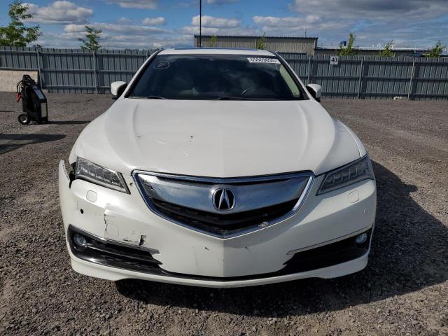  ACURA TLX 2016 Biały