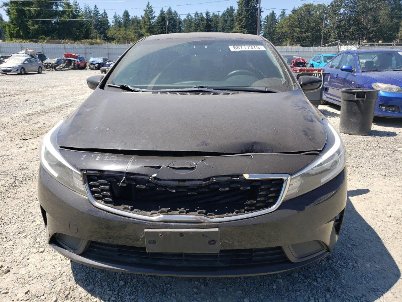 2017 Kia Forte Lx VIN: 3KPFK4A73HE088102 Lot: 66777375