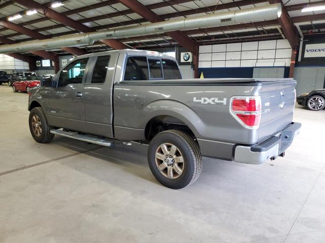 Pickups FORD F-150 2014 Szary