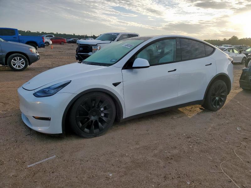  TESLA MODEL Y 2021 White