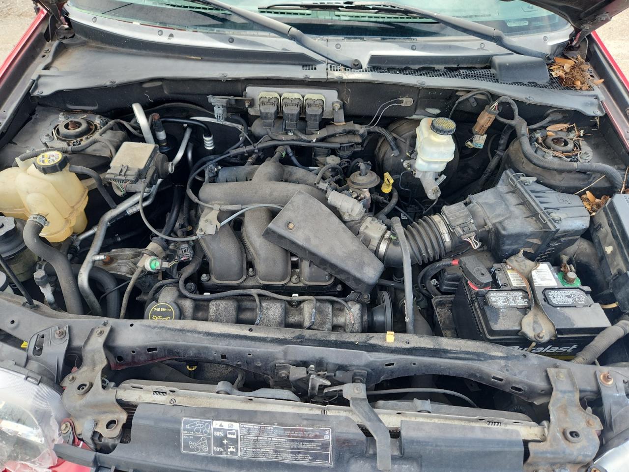 2006 Ford Escape Limited VIN: 1FMCU041X6KB19851 Lot: 63636955