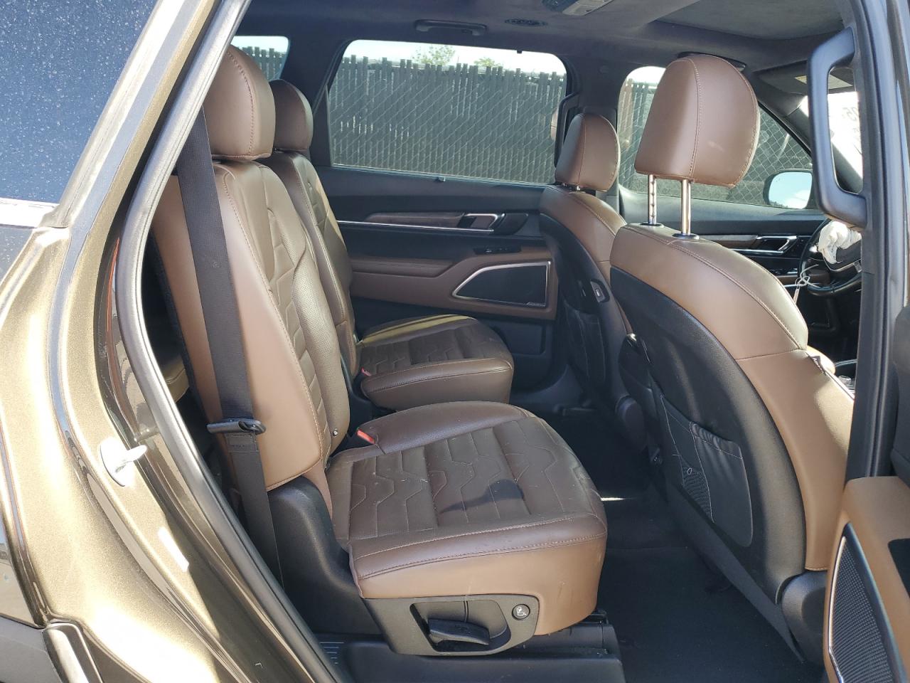 2020 Kia Telluride Sx VIN: 5XYP5DHCXLG047671 Lot: 63335605