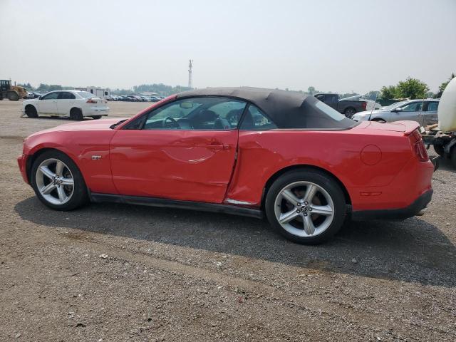 2010 FORD MUSTANG GT  
