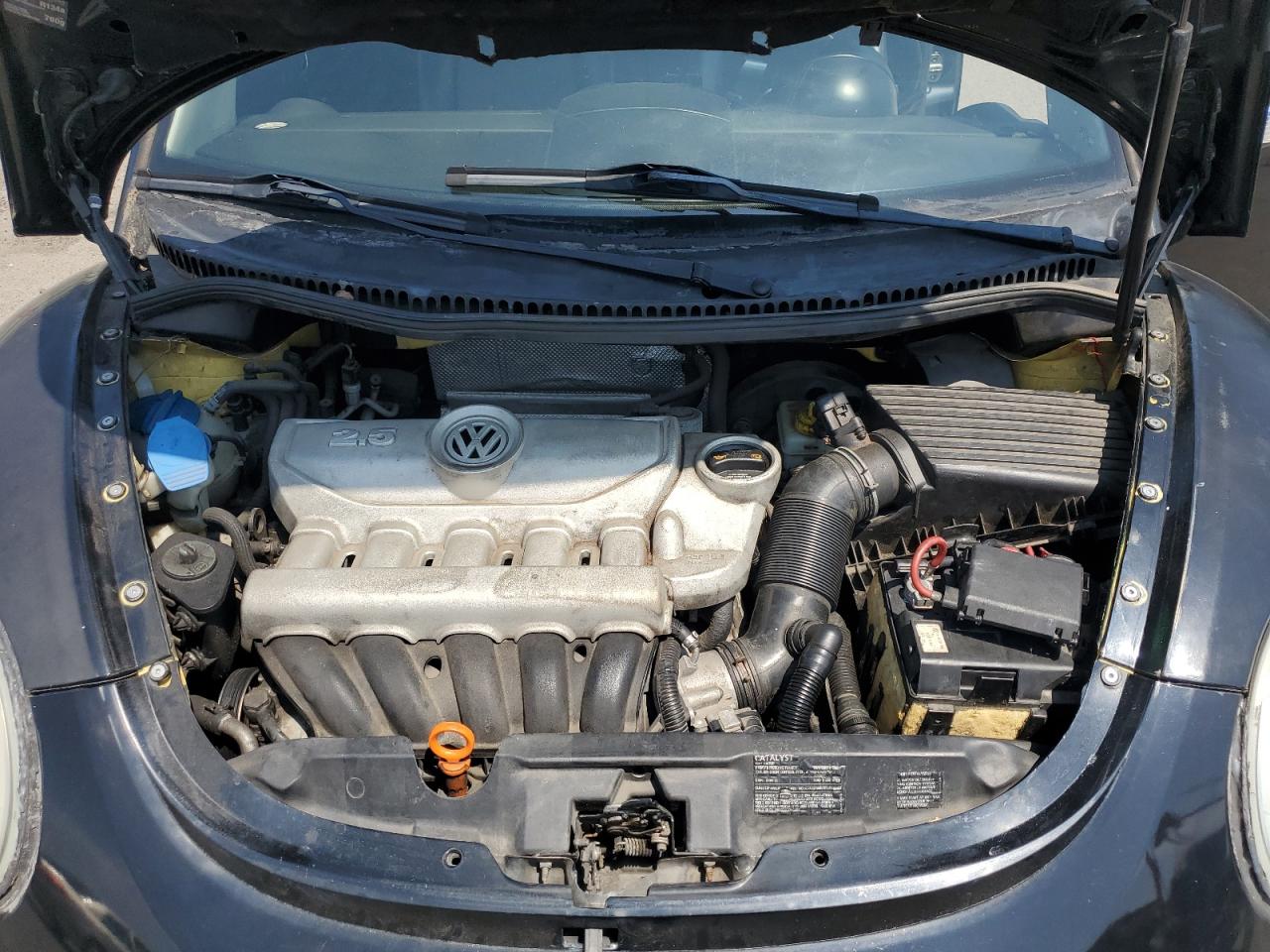 2008 Volkswagen New Beetle S VIN: 3VWPW31C48M501065 Lot: 63899745