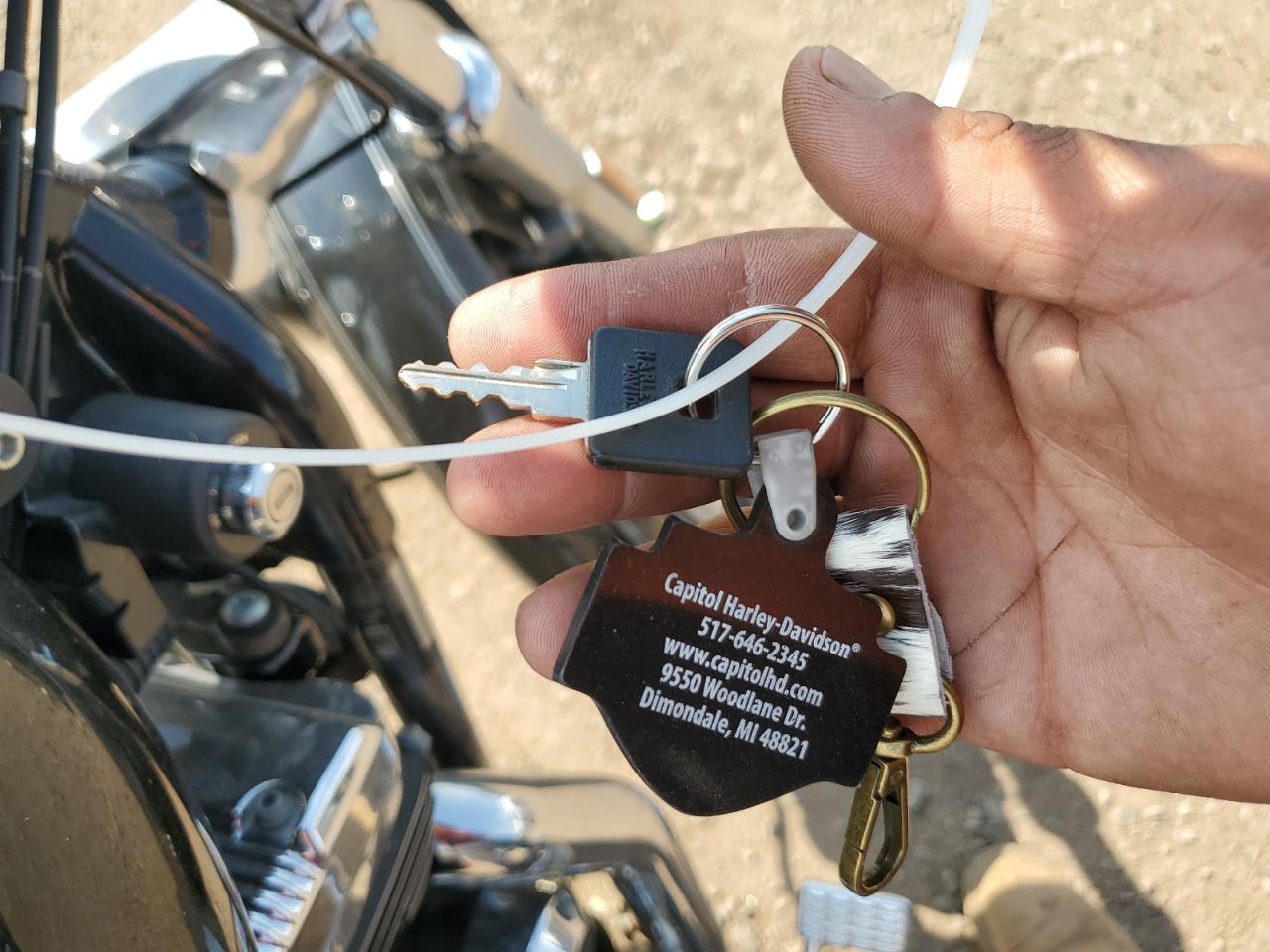 2009 Harley-Davidson Xl1200 L VIN: 1HD1CX3139K426029 Lot: 65401685
