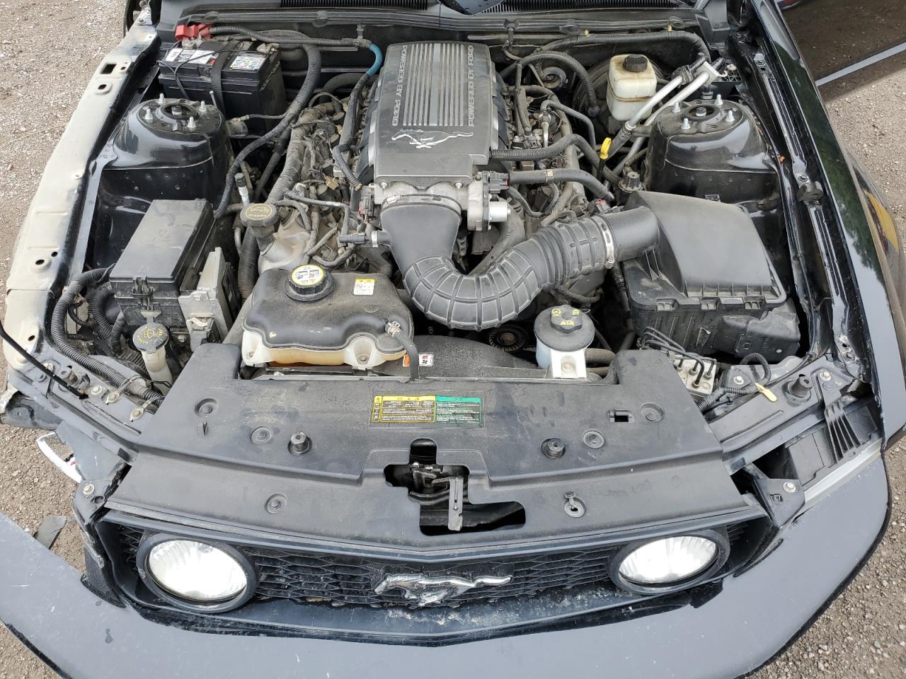 2007 Ford Mustang Gt VIN: 1ZVFT82H475300704 Lot: 63690055