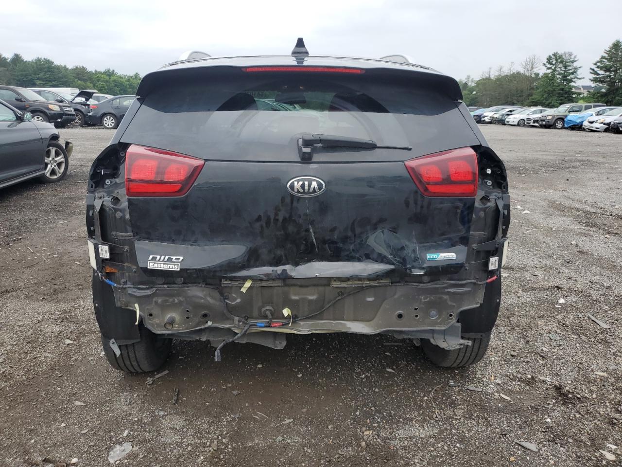2020 Kia Niro Ex VIN: KNDCC3LG6L5036619 Lot: 64107555