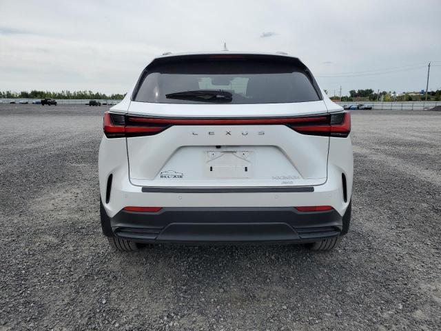 2024 LEXUS NX 350H BASE  