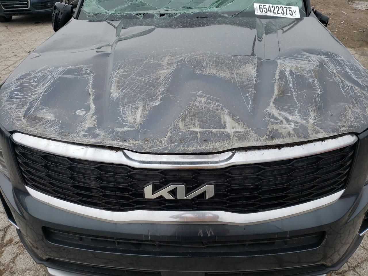 2022 Kia Telluride S VIN: 5XYP64HC9NG256884 Lot: 65422375
