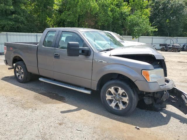  FORD F-150 2013 Gray