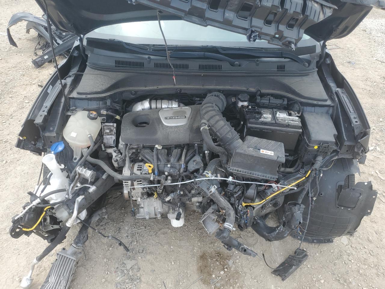 2021 Hyundai Kona Ultimate VIN: KM8K53A53MU748287 Lot: 66215665