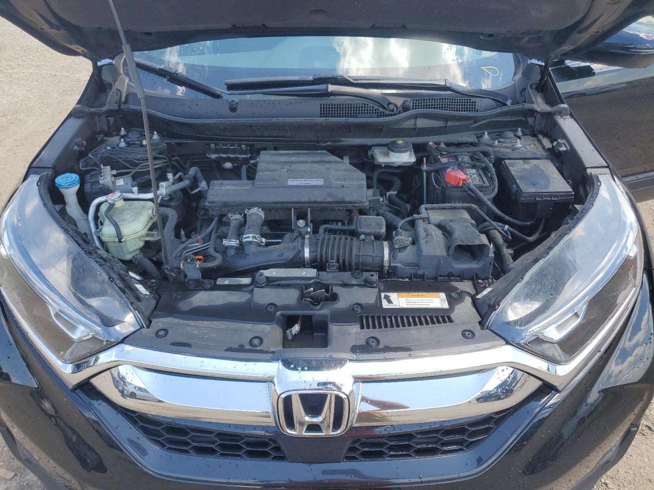 2019 Honda Cr-V Exl VIN: 5J6RW2H81KL012200 Lot: 62822925