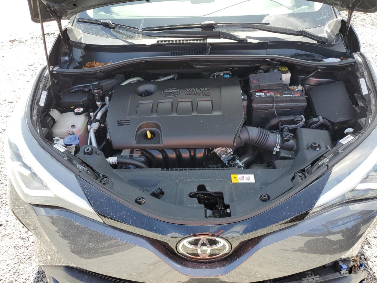 2021 Toyota C-Hr Xle VIN: NMTKHMBX1MR131118 Lot: 64177805
