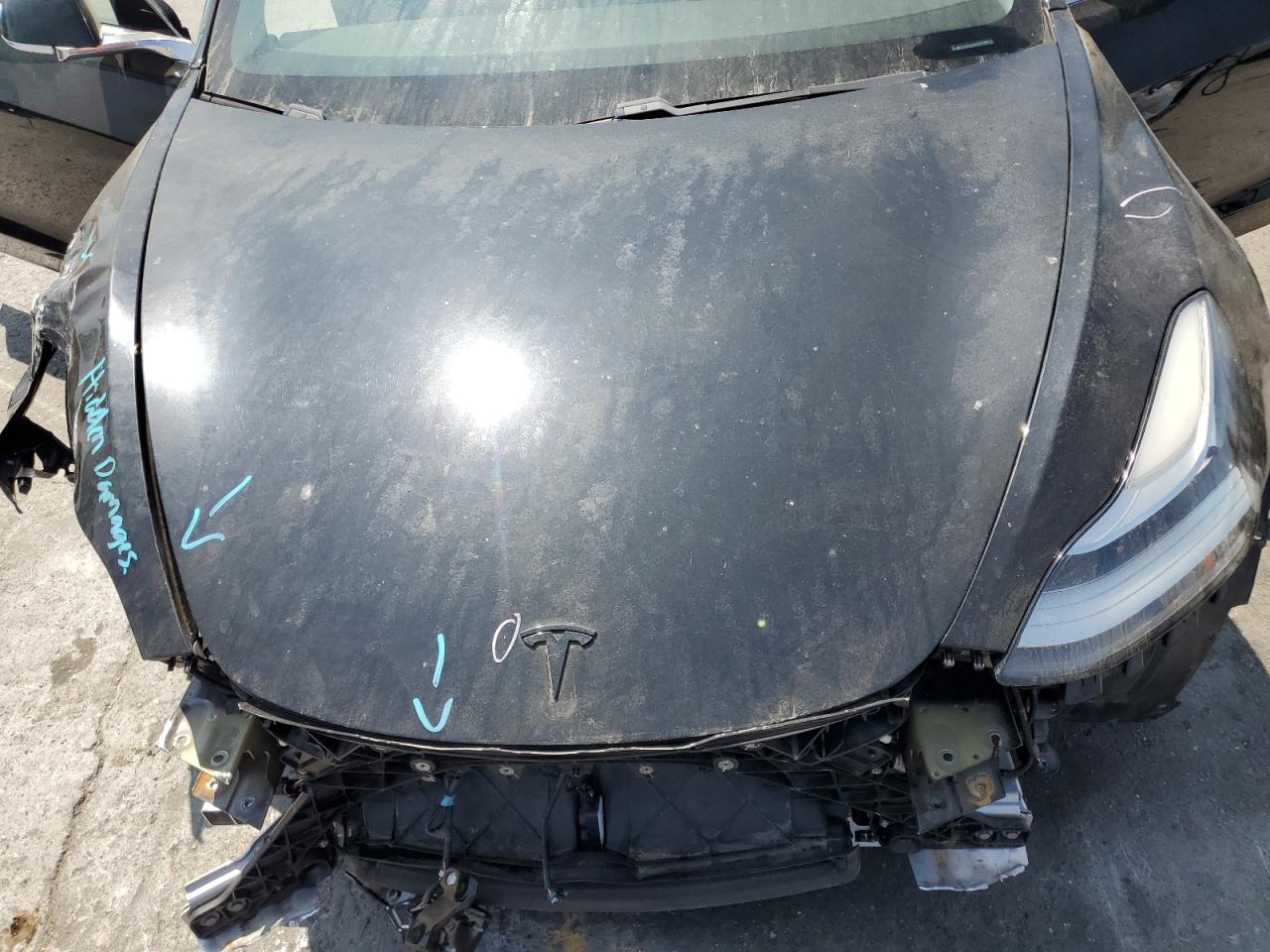 2019 Tesla Model 3 VIN: 5YJ3E1EA0KF307064 Lot: 62503965