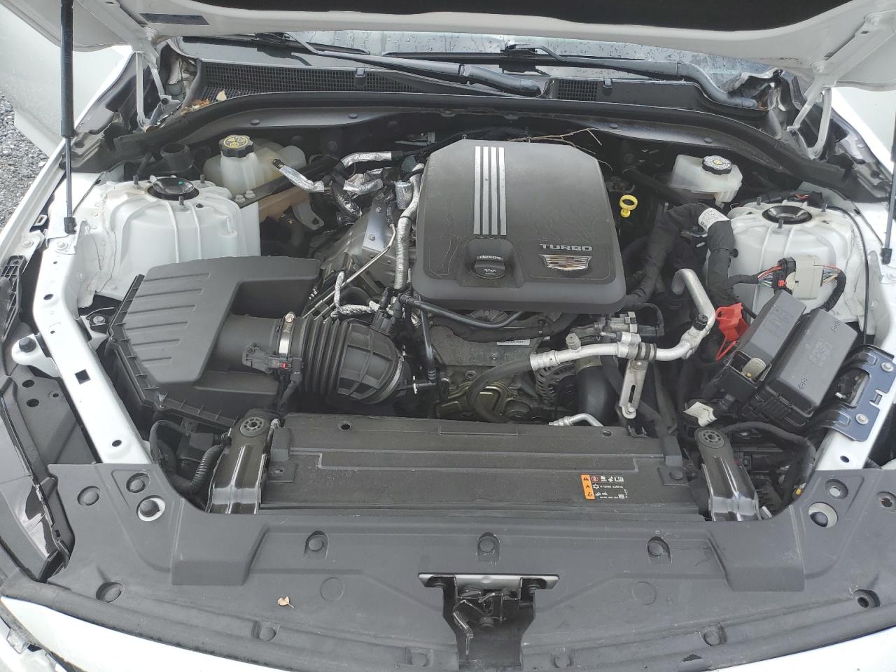 2022 Cadillac Ct5 Premium Luxury VIN: 1G6DN5RK3N0117067 Lot: 63436565