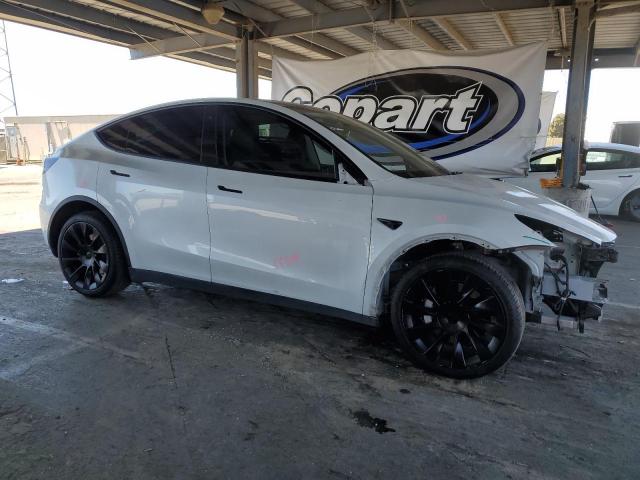  TESLA MODEL Y 2020 Biały