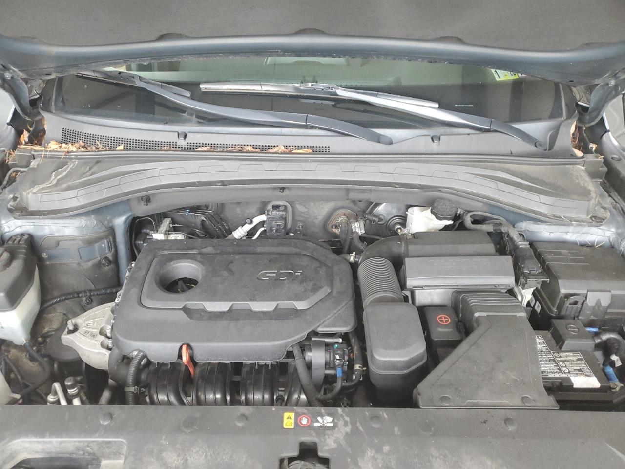 2020 Hyundai Santa Fe Sel VIN: 5NMS3CAD1LH182895 Lot: 64309235
