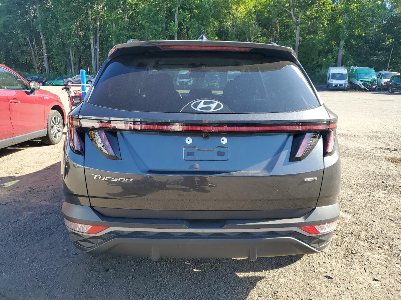 2023 Hyundai Tucson Sel VIN: 5NMJBCAE5PH251844 Lot: 65381085
