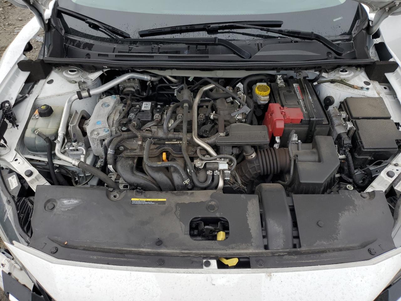 2024 Nissan Sentra Sv VIN: 3N1AB8CV7RY317607 Lot: 64734275