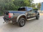 2012 FORD F150 SVT RAPTOR   à vendre chez Copart MA - NORTH BOSTON