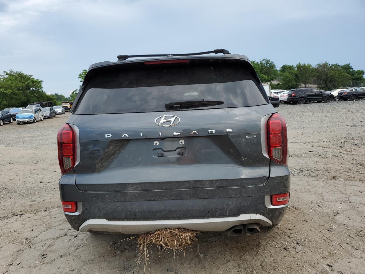 2020 Hyundai Palisade Sel VIN: KM8R3DHE1LU131520 Lot: 64320425