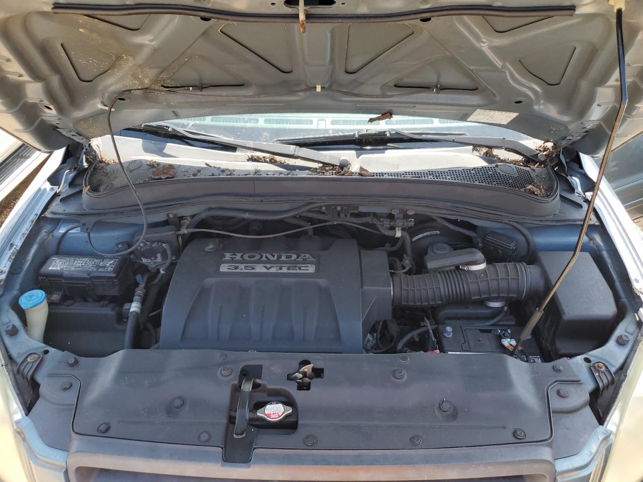 2005 Honda Pilot Exl VIN: 5FNYF18565B039496 Lot: 64207735