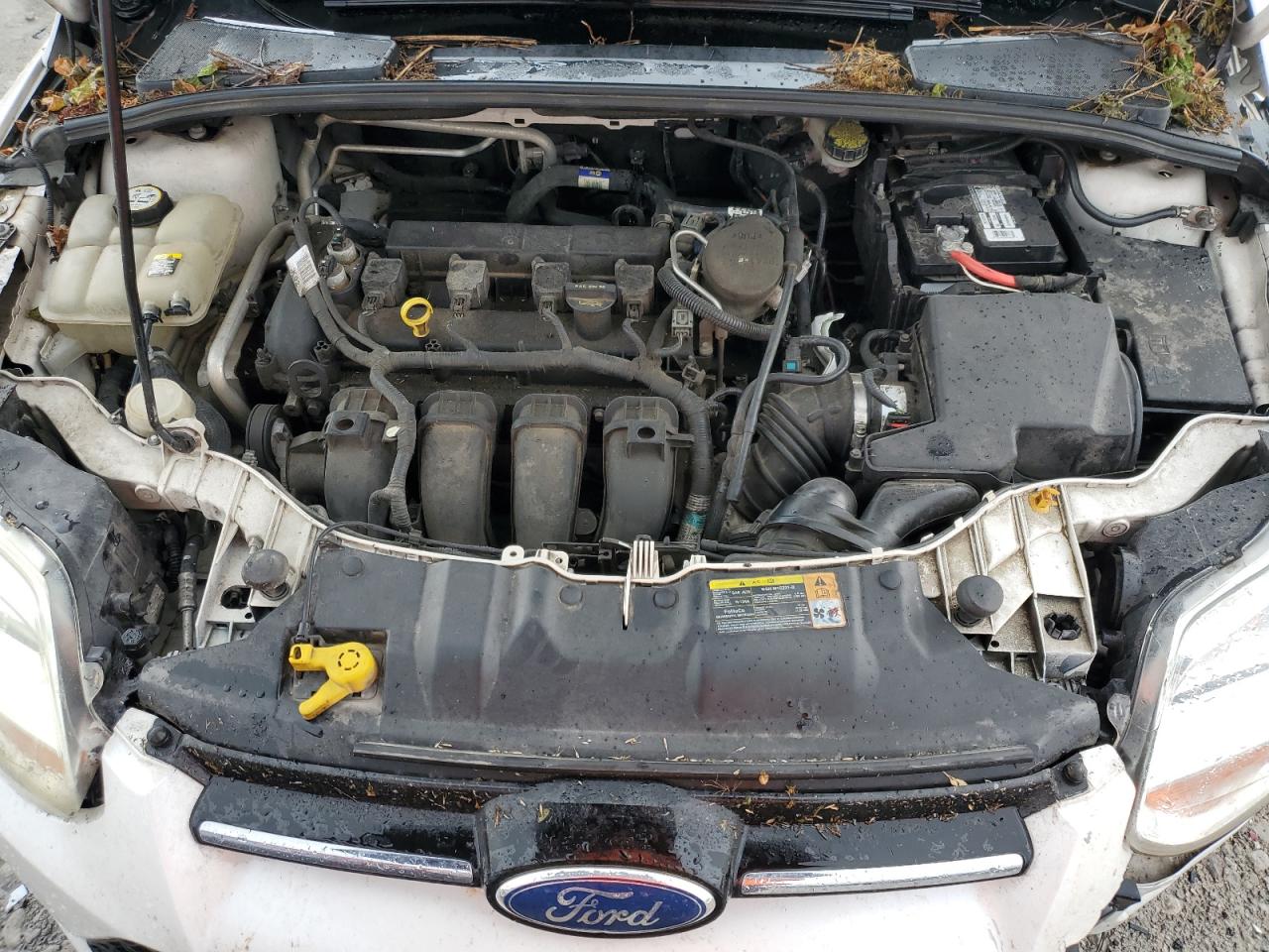 2012 Ford Focus Sel VIN: 1FAHP3M20CL278014 Lot: 64894965