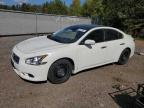 2014 NISSAN MAXIMA S   à vendre chez Copart ON - COOKSTOWN