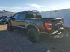 2023 FORD F150 RAPTOR   à vendre chez Copart NY - SYRACUSE