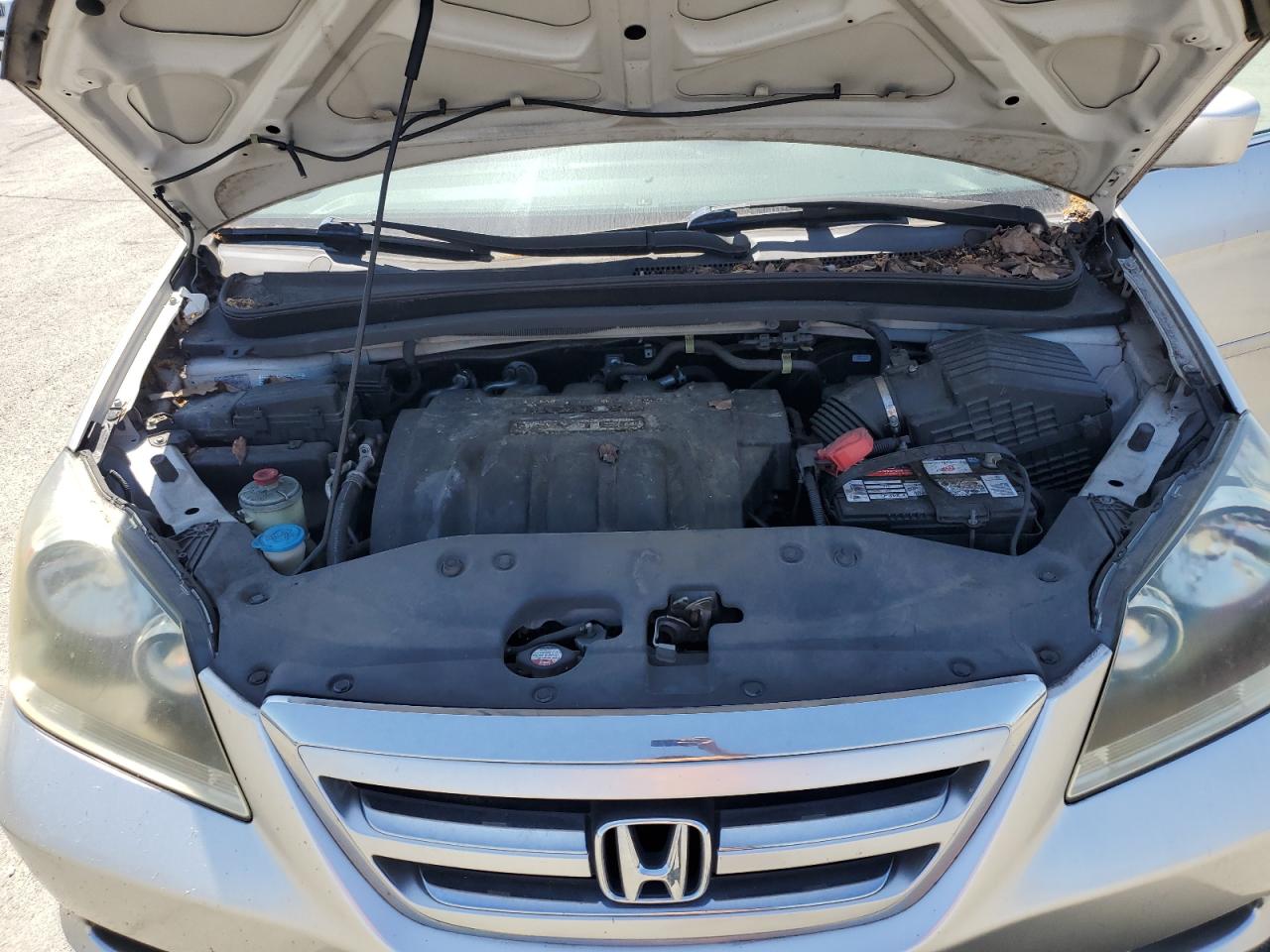 2007 Honda Odyssey Ex VIN: 5FNRL38427B455323 Lot: 63161995