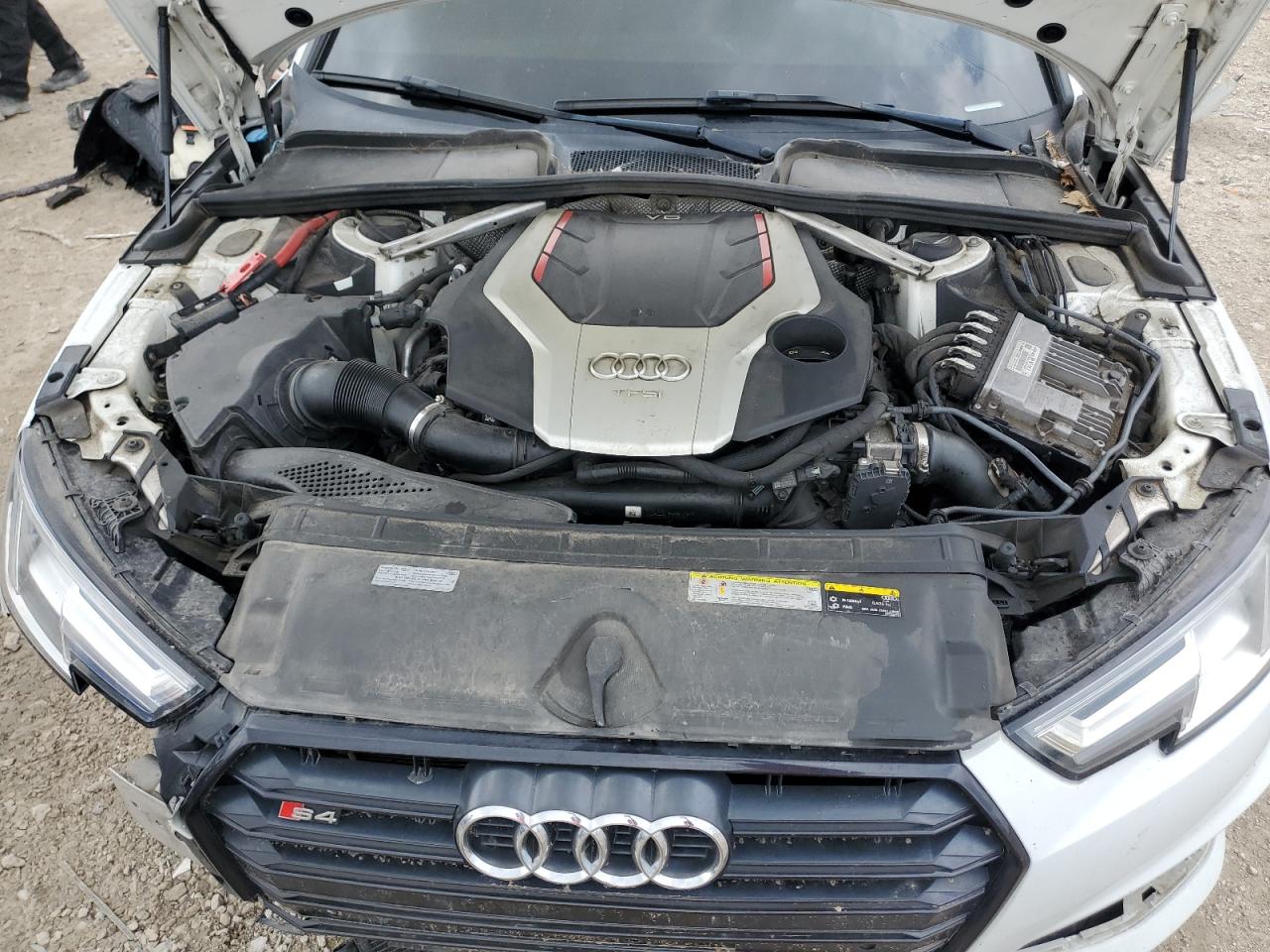 2019 Audi S4 Premium Plus VIN: WAUB4AF44KA119709 Lot: 65562755