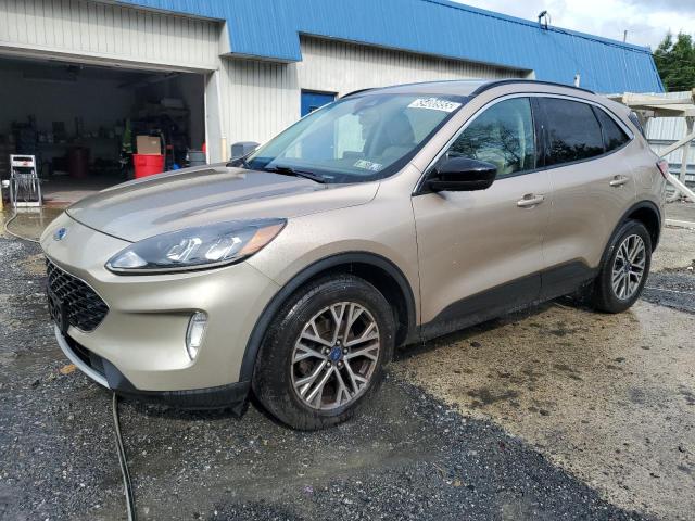  FORD ESCAPE 2021 Gold
