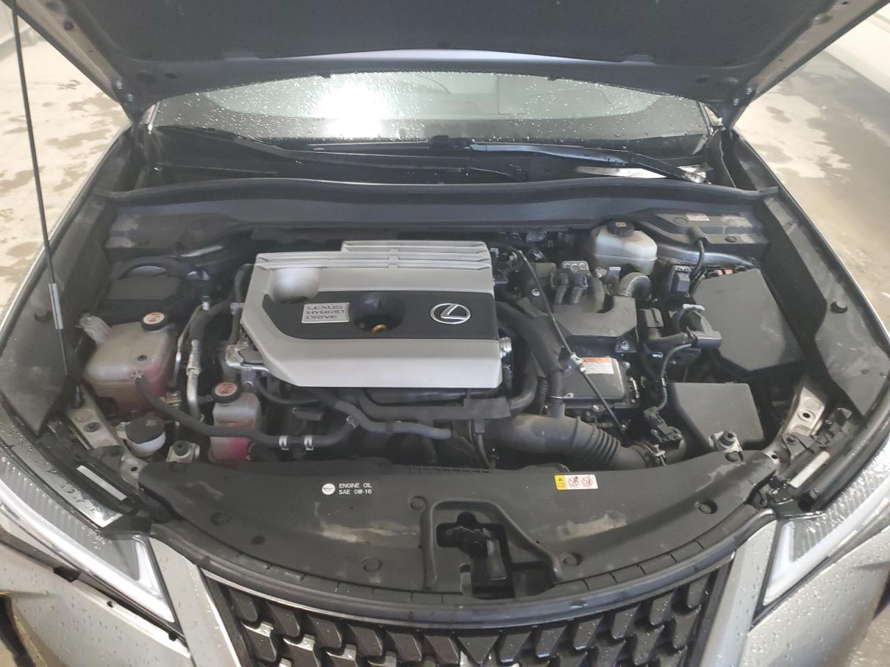 2019 Lexus Ux 250H VIN: JTHU9JBH2K2003021 Lot: 64261795