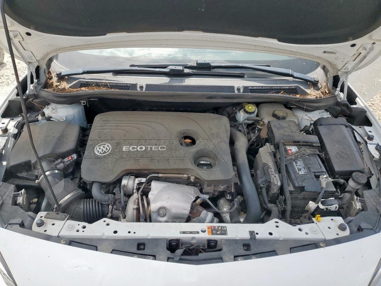 2019 Buick Cascada Premium VIN: W04WH3N57KG329498 Lot: 65541595