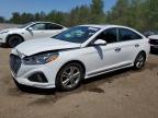 2019 HYUNDAI SONATA LIMITED   à vendre chez Copart ON - COOKSTOWN