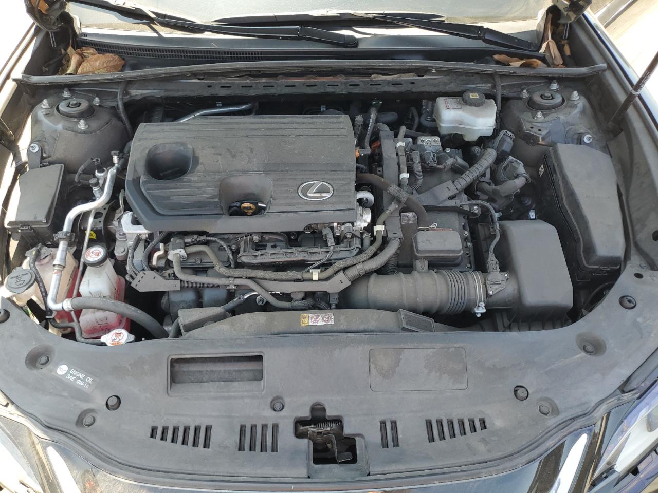 2022 Lexus Es 300H Base VIN: 58ADA1C12NU019825 Lot: 63512015