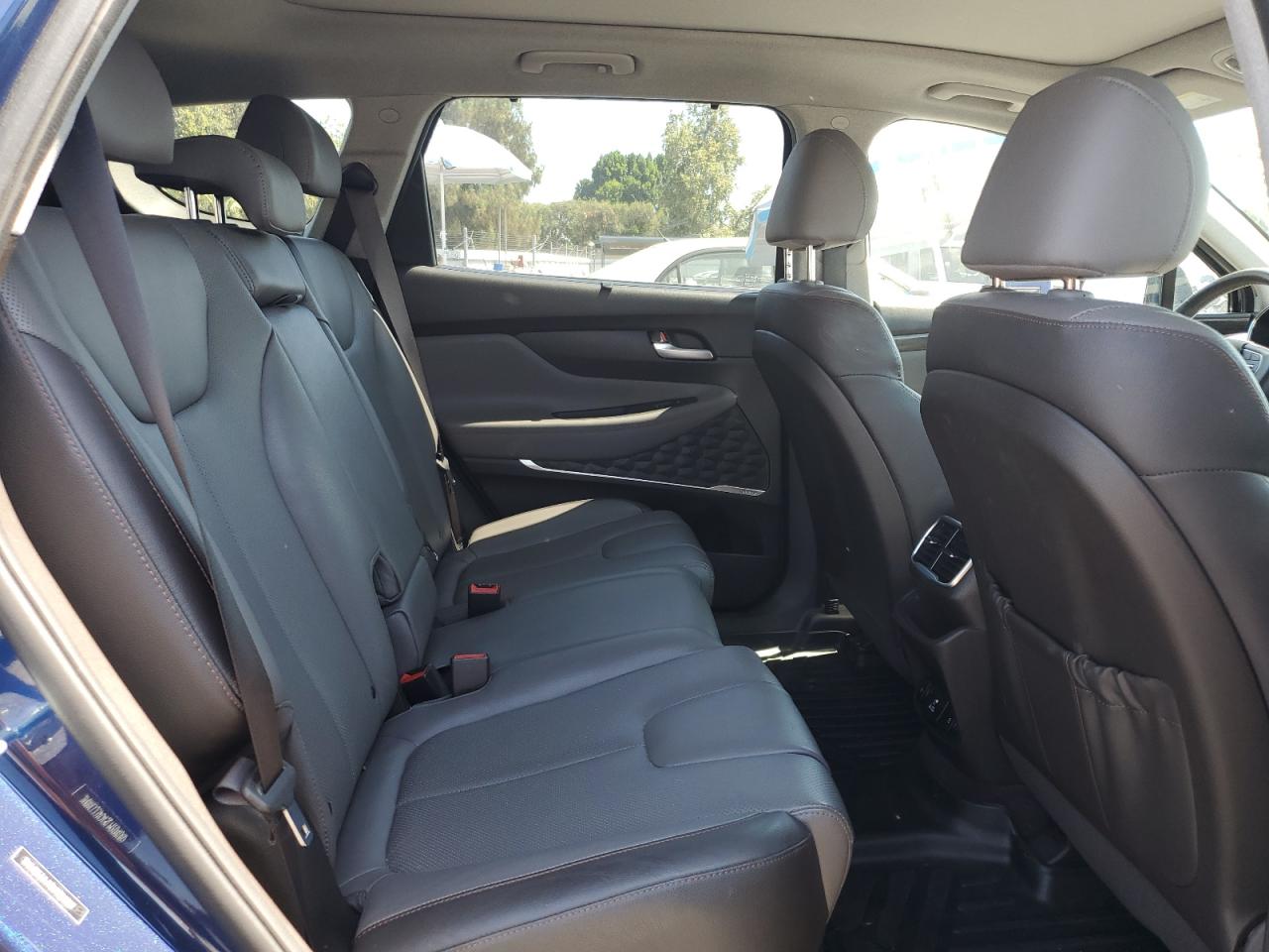 2020 Hyundai Santa Fe Limited VIN: 5NMS53AA5LH204087 Lot: 64142445