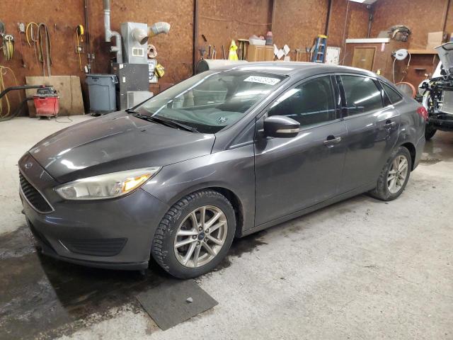  FORD FOCUS 2016 Серый