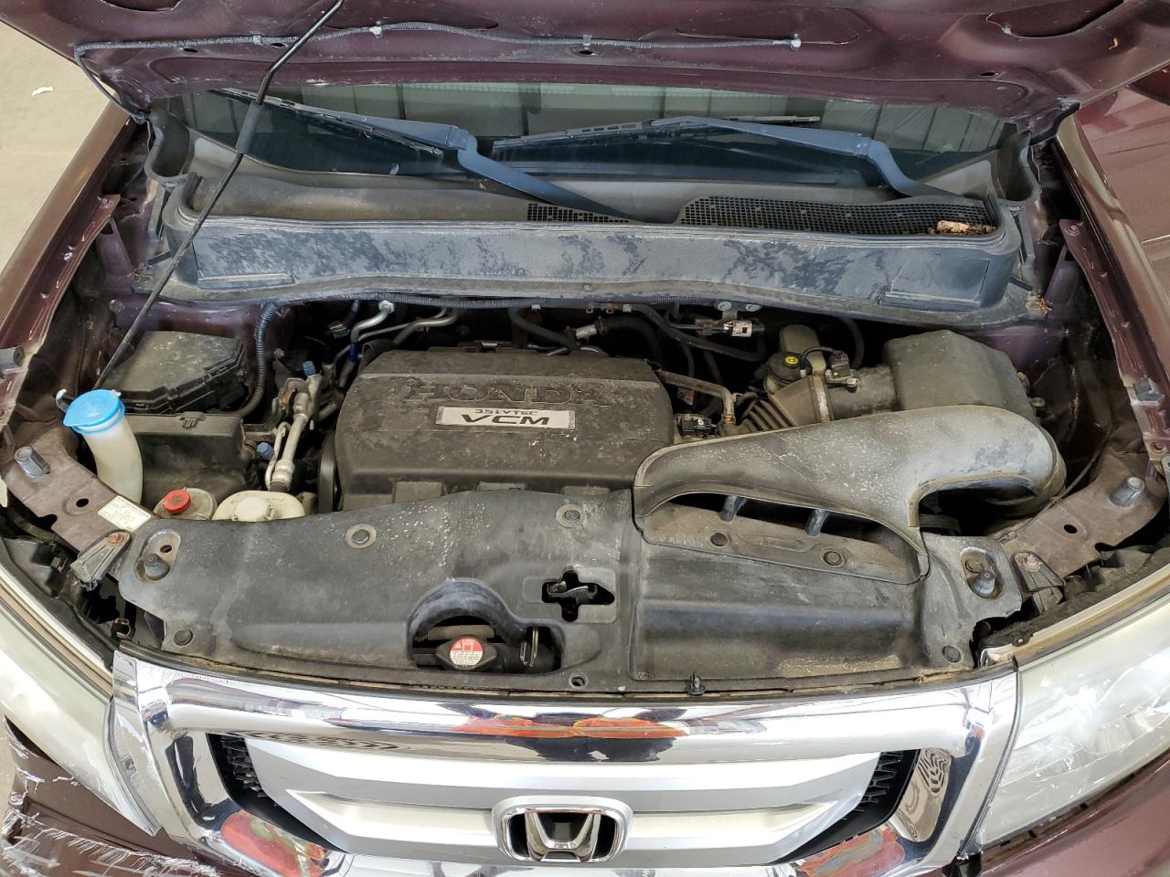 2009 Honda Pilot Exl VIN: 5FNYF48559B056524 Lot: 64435395