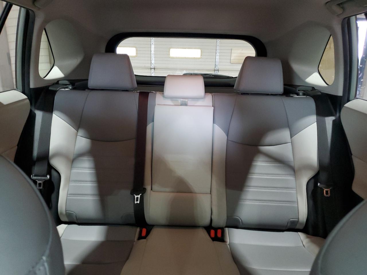 2019 Toyota Rav4 Xle Premium VIN: JTMA1RFV0KD006501 Lot: 65651715