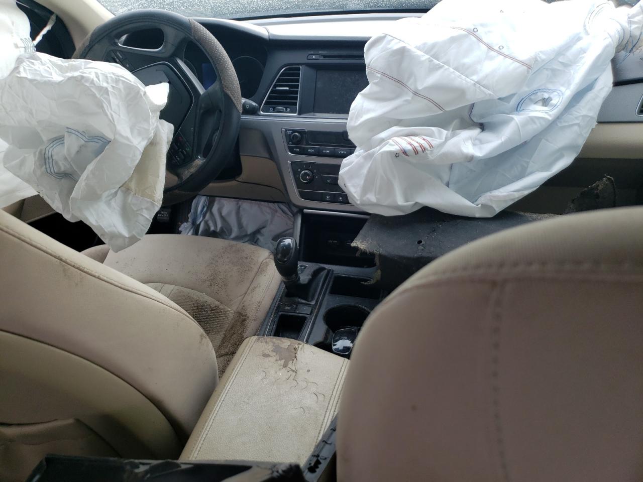 2016 Hyundai Sonata Se VIN: 5NPE24AF5GH309390 Lot: 64233425