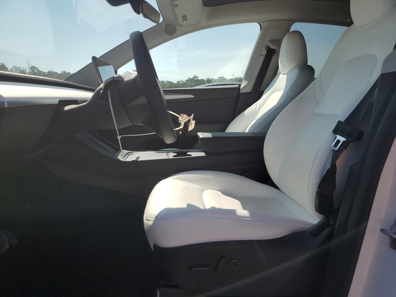 2023 Tesla Model Y VIN: 7SAYGDEE0PF879833 Lot: 66458615