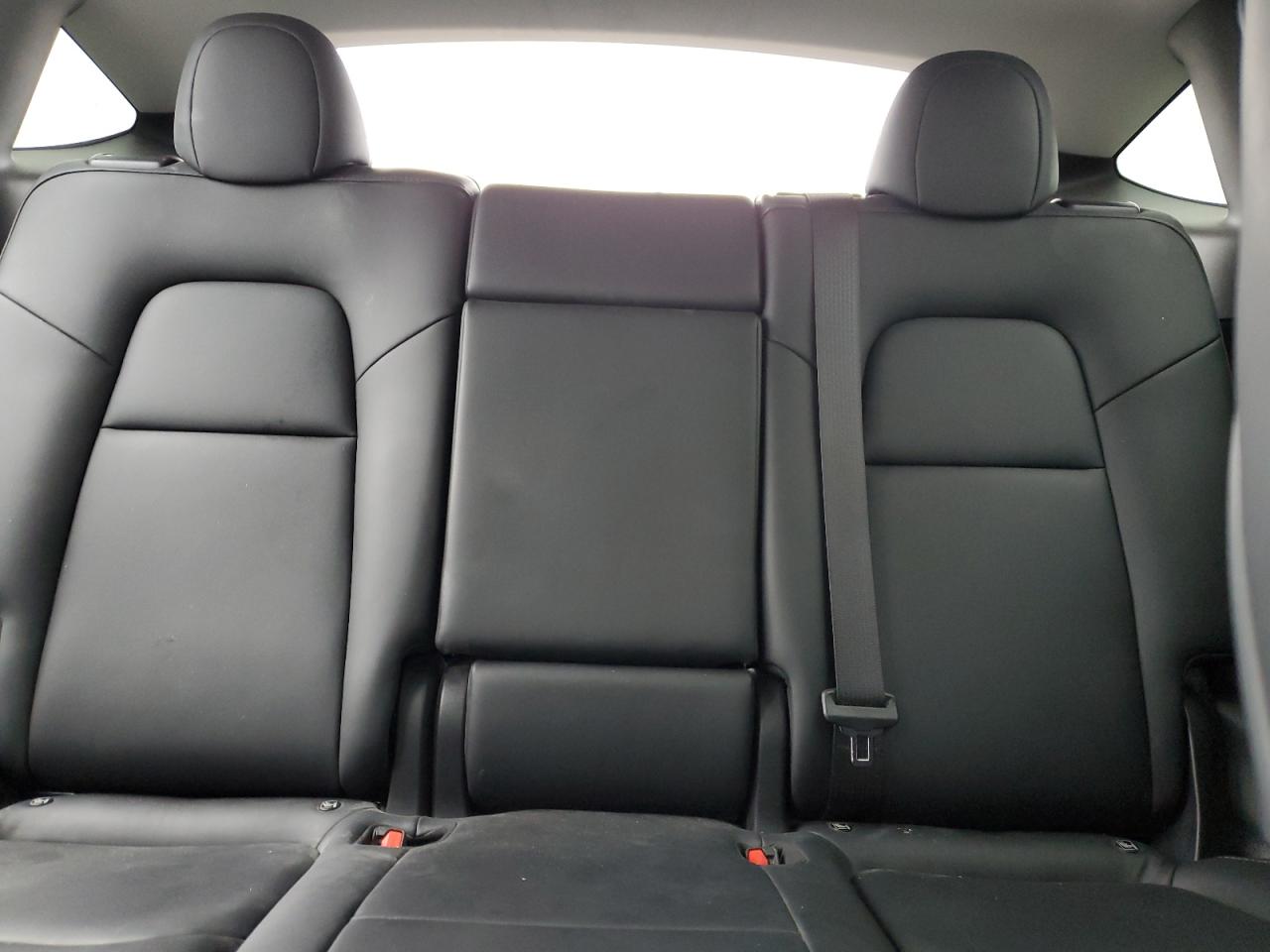 2023 Tesla Model Y VIN: 7SAYGDEE6PA136638 Lot: 65933455