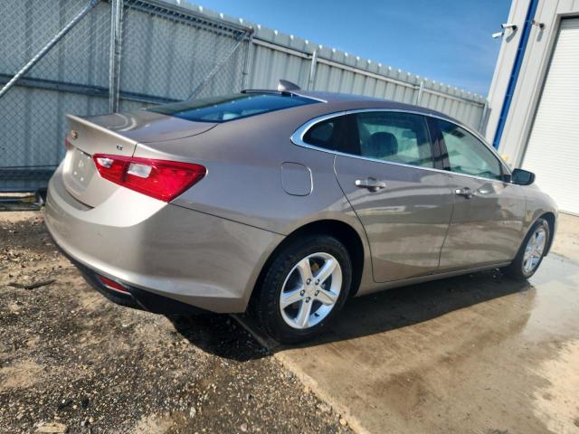  CHEVROLET MALIBU 2024 Gold