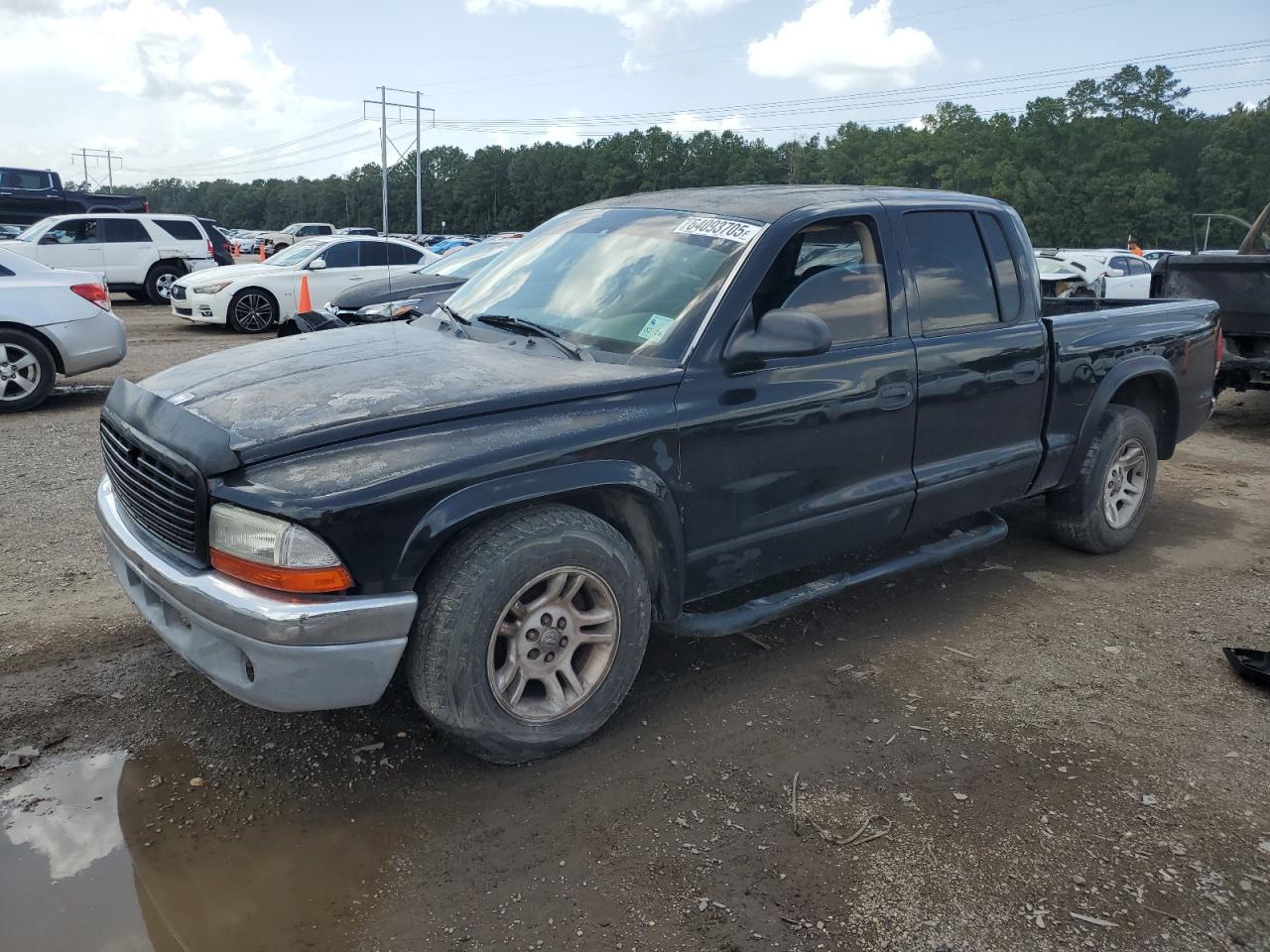 2003 Dodge Dakota Quad Slt VIN: 1D7HL48N43S195116 Lot: 64093705