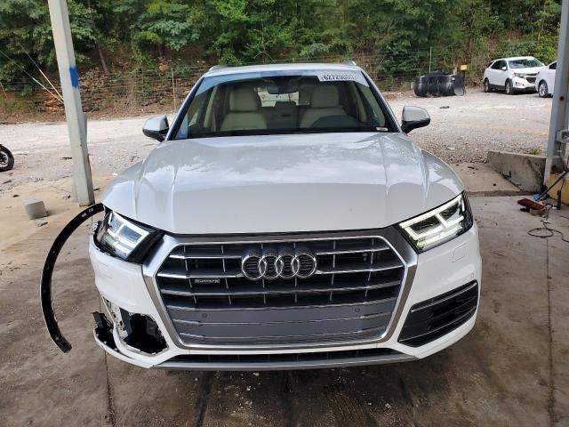  AUDI Q5 2019 Biały