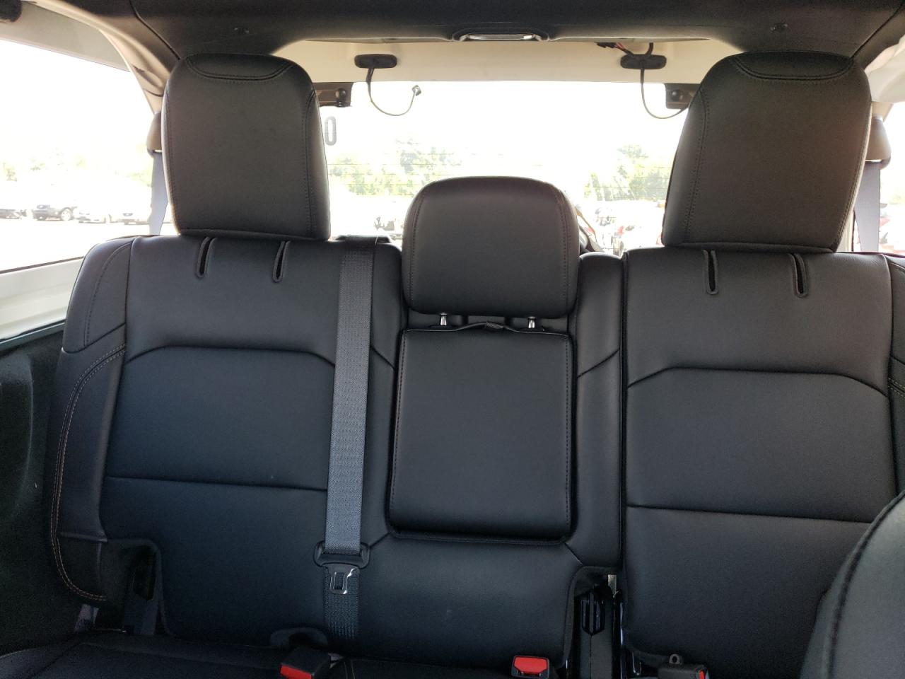 2024 Jeep Wrangler Sahara VIN: 1C4PJXEGXRW269062 Lot: 64576895